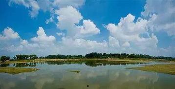 青州弥河滩吃瓜,夏日消暑吃瓜，尽享田园风情