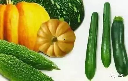 吃瓜政府,一场网络热词背后的现象解析