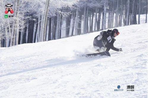 吃瓜 滑雪,趣味与挑战并存