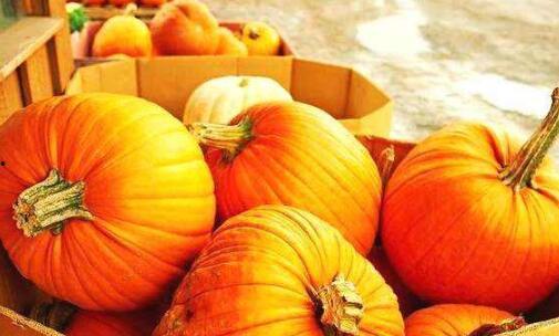 冬天吃方瓜,冬日暖胃方瓜美食之旅