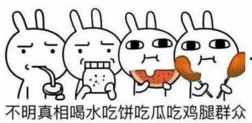 继续吃瓜的意思,继续吃瓜，揭秘娱乐圈最新瓜事