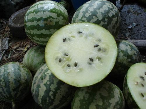 怎么很多人吃瓜