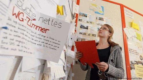 论文吃瓜群众怎么写,网络舆论场中的角色与影响