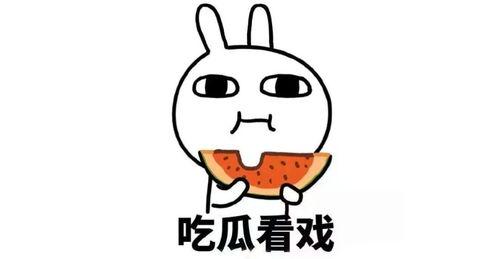 吃瓜躺平后续,揭秘网络现象背后的社会心态