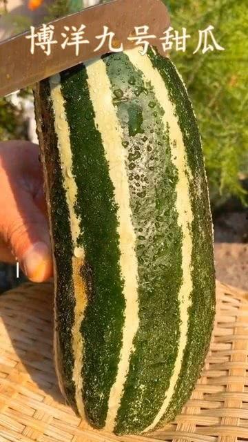 吃瓜可不是这样吃的,原来并非如此简单