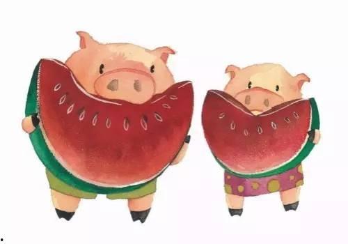 白猪吃瓜,趣味横生的田园生活趣事