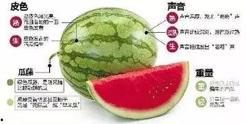 打开微信吃瓜,揭秘网络社交背后的趣味与真相